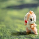 플러피 퍼피 이미지