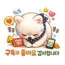 해죽 | 해죽순 체험 후기 모음