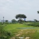 양평파크골프장 이미지