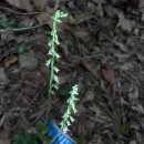 싹독싹독 이미지