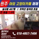 현부동산공인중개사사무소 | 원주 소초면 흥양리 근린생활시설 매매 | 국유지 포함 467평 야외카페, 즉시 영업 가능- 원주박사