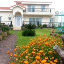 안선생민박 이미지