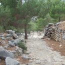 이오니아 이미지