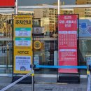 예뻐할게 펫 살롱 | 35회 궁디팡팡 캣페스타, 서울 세텍 고양이 용품 박람회