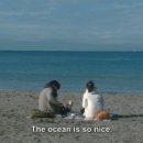 우리바다 이미지