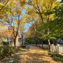 궁내초 앞 이미지