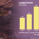 빅식자재