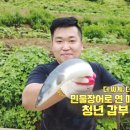 민물장어로 연 매출 70억 원?! 장어를 삼겹살 가격에 먹을 수 있는 비밀은? 이미지