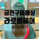 라로블헤어금천 | 금천구미용실 라로블헤어 골디락스 클리닉 후기