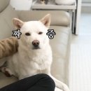 해피 이미지