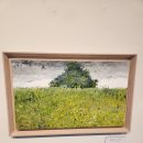 노바운더리 이미지