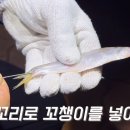 하라고 35호