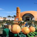 감귤홍보관 이미지