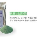체사레헤어