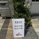 송도 만두 맛집 &#39;모아모아 손만두&#39; 후기! 다양한 만두와 별미 요리를 맛볼 수 있는 곳🍜