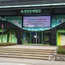 녹색미래창조연합