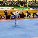 금빛나래태권도 이미지