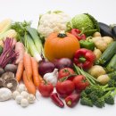 (주)마루펫 이미지