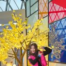 보석박물관 이미지