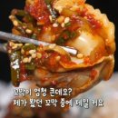 광주홍어 이미지