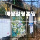 매봉힐링캠프 이미지