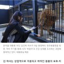 김건희 여사, ‘갈비사자’ 구한 청주동물원 찾아 “동물존중 인식 중요” 이미지