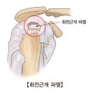 경희보비한의원 이미지