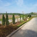 향산다개로 이미지