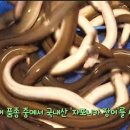 버드나무집식당 이미지