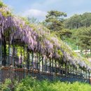 그린테이블 이미지