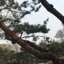 올림픽무도장 이미지