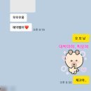 캠프해놀 이미지