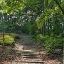 뒷산 용곡공원( 부엉공원 ) 이미지