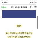 율하시티동물병원 네이버블로그