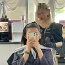 이삼칠 염색두피관리 청주지사 | 청주성안길미용실 에비수헤어에서 새치뿌리염색 후기