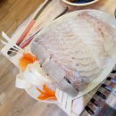 자갈치회집 이미지