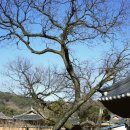 나무와 친해지기 이미지