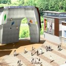 부주산국제클라이밍센터 이미지