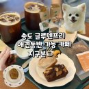 송도 지구본 글루텐프리 애견동반 카페 내돈내산 후기