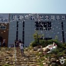 울산해양박물관세계희귀산호패류전시관 티스토리