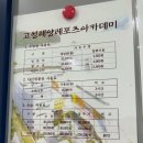 고성해양레포츠아카데미 수영장 | [프다 일기] 고성해양레포츠아카데미 다이빙풀 준비물 / 고고다이브 연습반 참여 후기