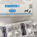 성동동물약국 이미지