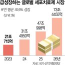 황금개발 이미지