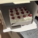 캣독카페 | 불현듯 울고 웃은 연말