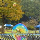 서동공원 | 익산서동공원 마한문화대전 축제 후기 (김종국, 요요미, 빅마마, 장윤정)