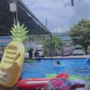 아로니아펜션 이미지