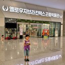 지에스25 고양킨텍스점 | 일산 옐로우지브라 곤충박물관 킨텍스점 체험 및 할인 정보 등