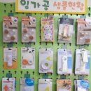 프란치스코의 집 이미지