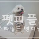 펫피플 스타필드명지점 이미지