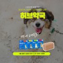 신금호약국 이미지